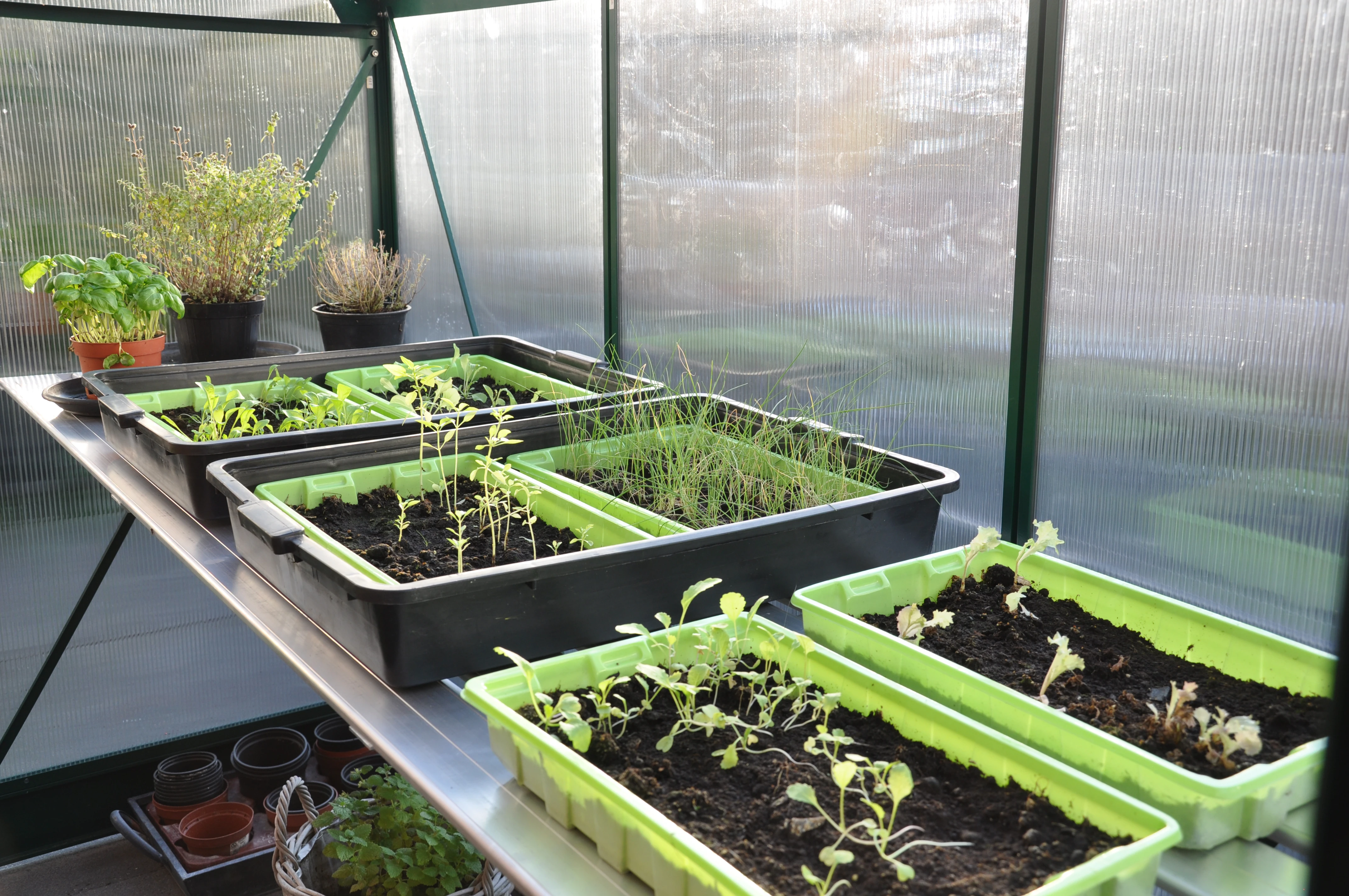 Royal Well Alu Grower 200 x 62.5 cm - Afbeelding 1